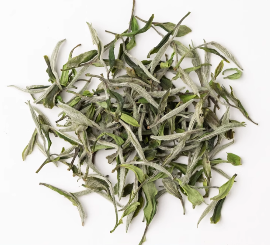 White Penoy- White Tea PaiMuDan BaiMuDan